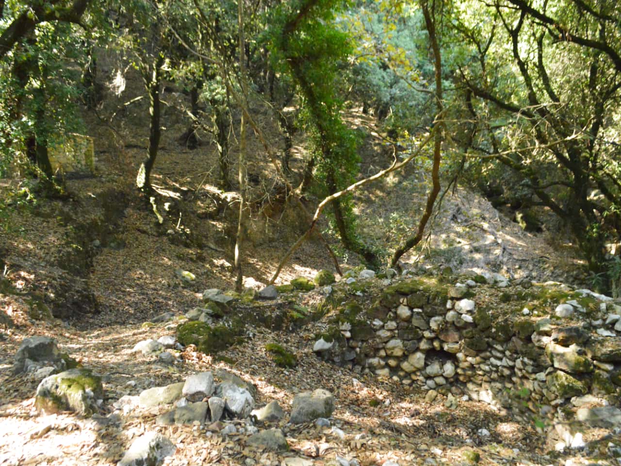 Half-Day Hiking Tour Kournas Village & Azilakas Path, hiking trekking crete activities, oak forest azilakas hiking, best activities chania crete, kournas lake village hiking tour, azilakas forest path crete, best hiking tours chania