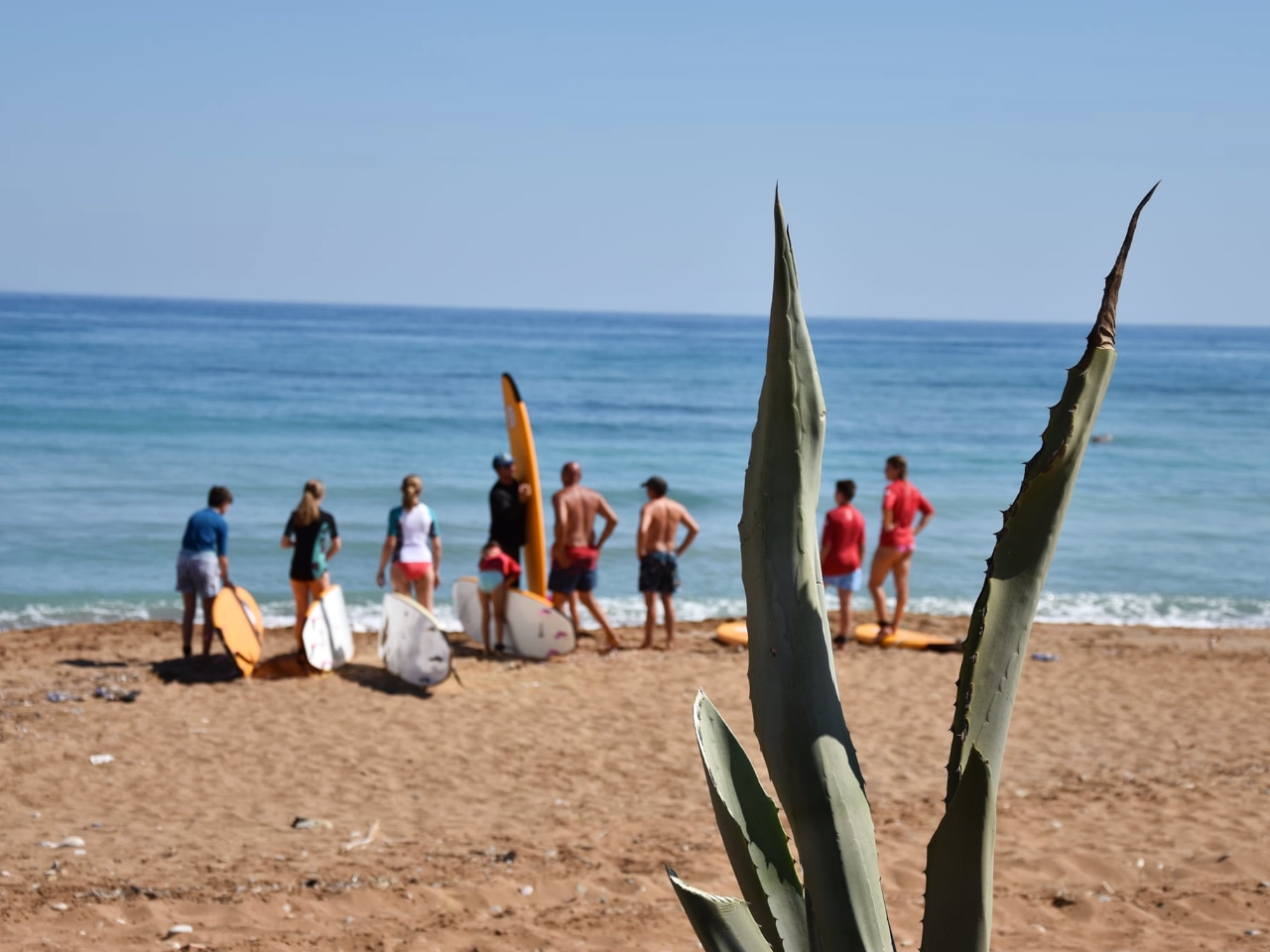 surf lessons chania crete, surfing lessons chania crete, sup lessons chania crete, best surfing club chania, where to surf chania crete, where to sup chania crete, best surf instructor chania crete