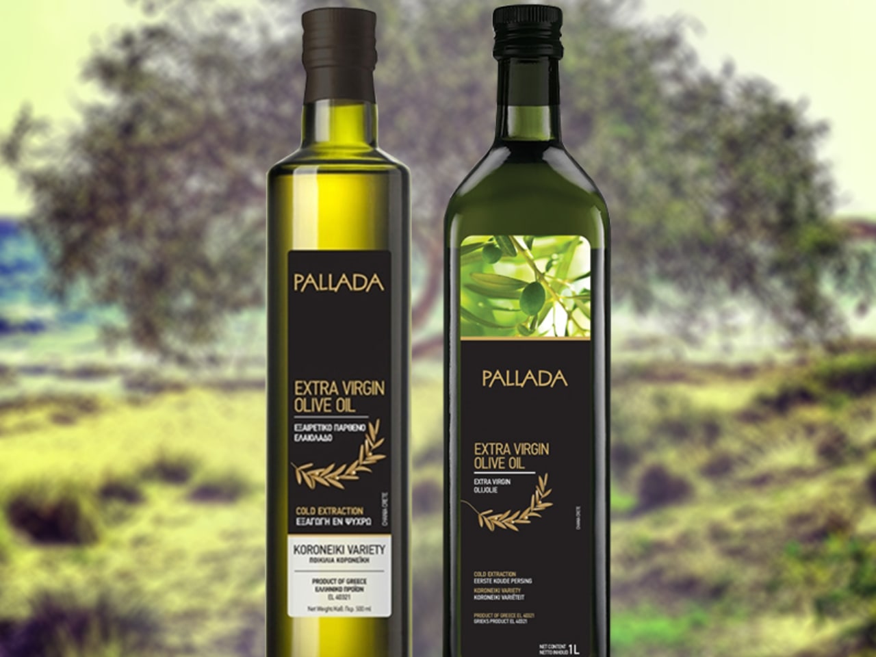 Olive Oil Tasting Tours at Pallada Mill, chania olive oil tasting tours, tasting extra virgin olive oil chania crete, activities chania crete, best organic olive oil tasting tour chania, cretan olive oil activity, things to do chania crete