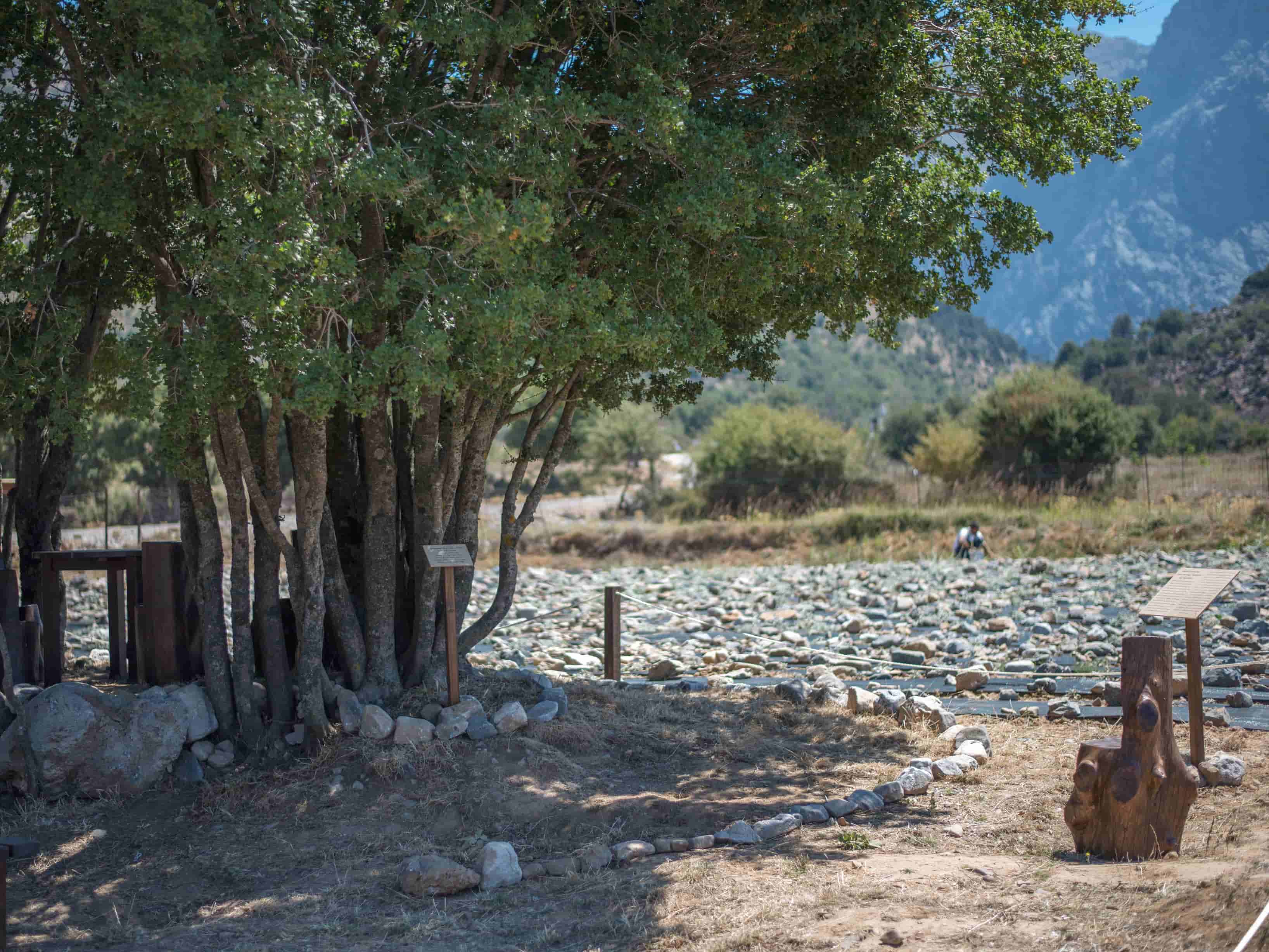 Discovering The Organic Herbs & Flavors Of Crete At Omalos Plateau Of Crete, organic herbs workshop chania crete, organic tea workshop chania crete, best activities chania crete, bio herbs workshop crete, visit an organic farm chania crete