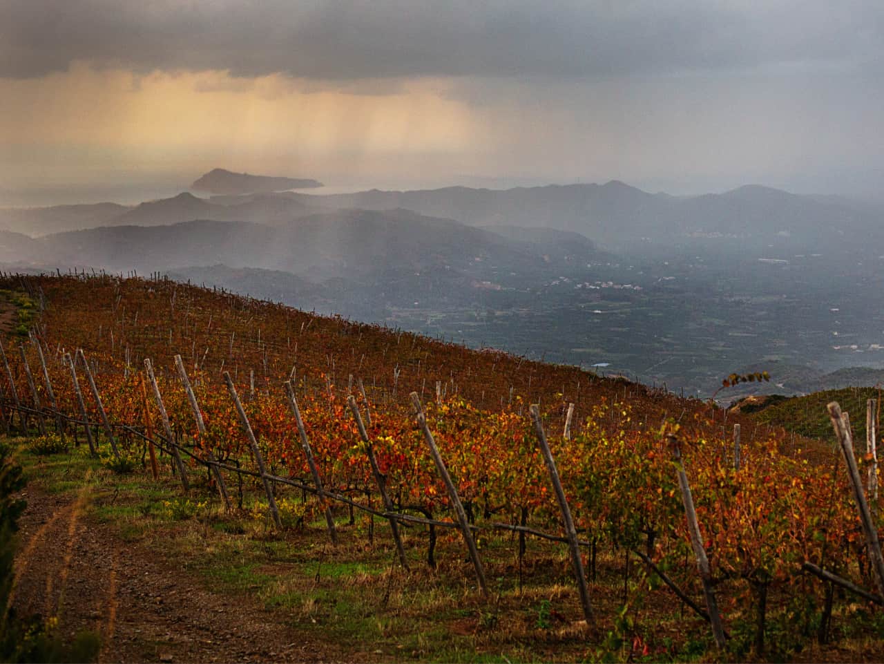 Exclusive Tour to Manousakis Winery & Vineyards, Unique Wine Tasting Experience chania crete, vatolakos manousakis winery, wine tasting, safari jeep tour winery, off road tour private wine tasting, best bio winery greece, manousaki winery chania crete