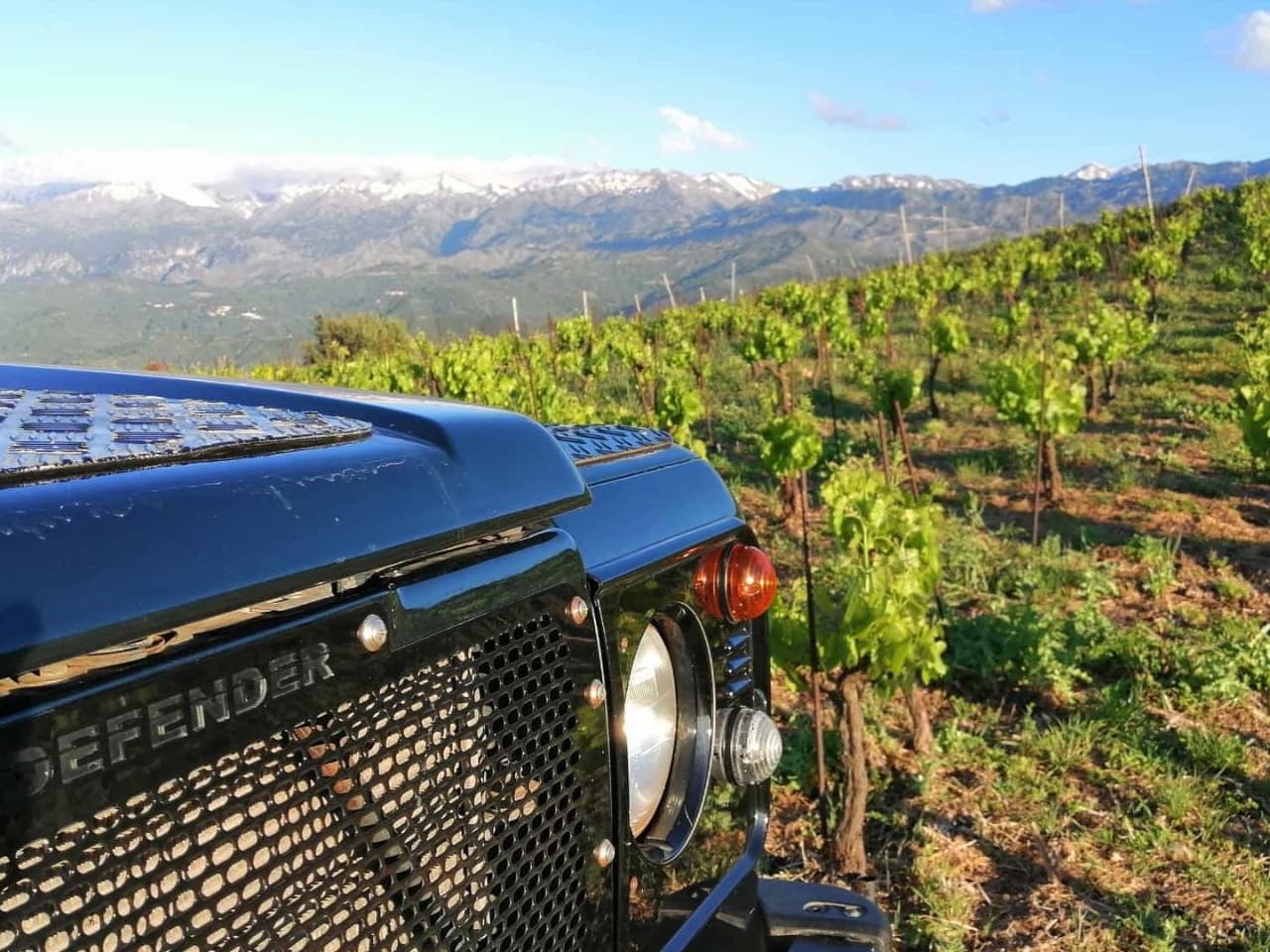 Exclusive Tour to Manousakis Winery & Vineyards, Unique Wine Tasting Experience chania crete, vatolakos manousakis winery, wine tasting, safari jeep tour winery, off road tour private wine tasting, best bio winery greece, manousaki winery chania crete