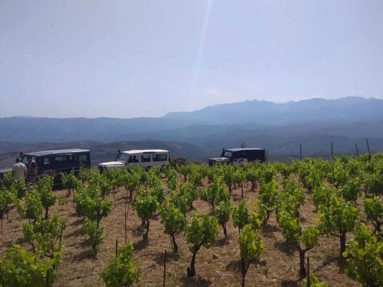 Exclusive Tour to Manousakis Winery & Vineyards, Unique Wine Tasting Experience chania crete, vatolakos manousakis winery, wine tasting, safari jeep tour winery, off road tour private wine tasting, best bio winery greece, manousaki winery chania crete