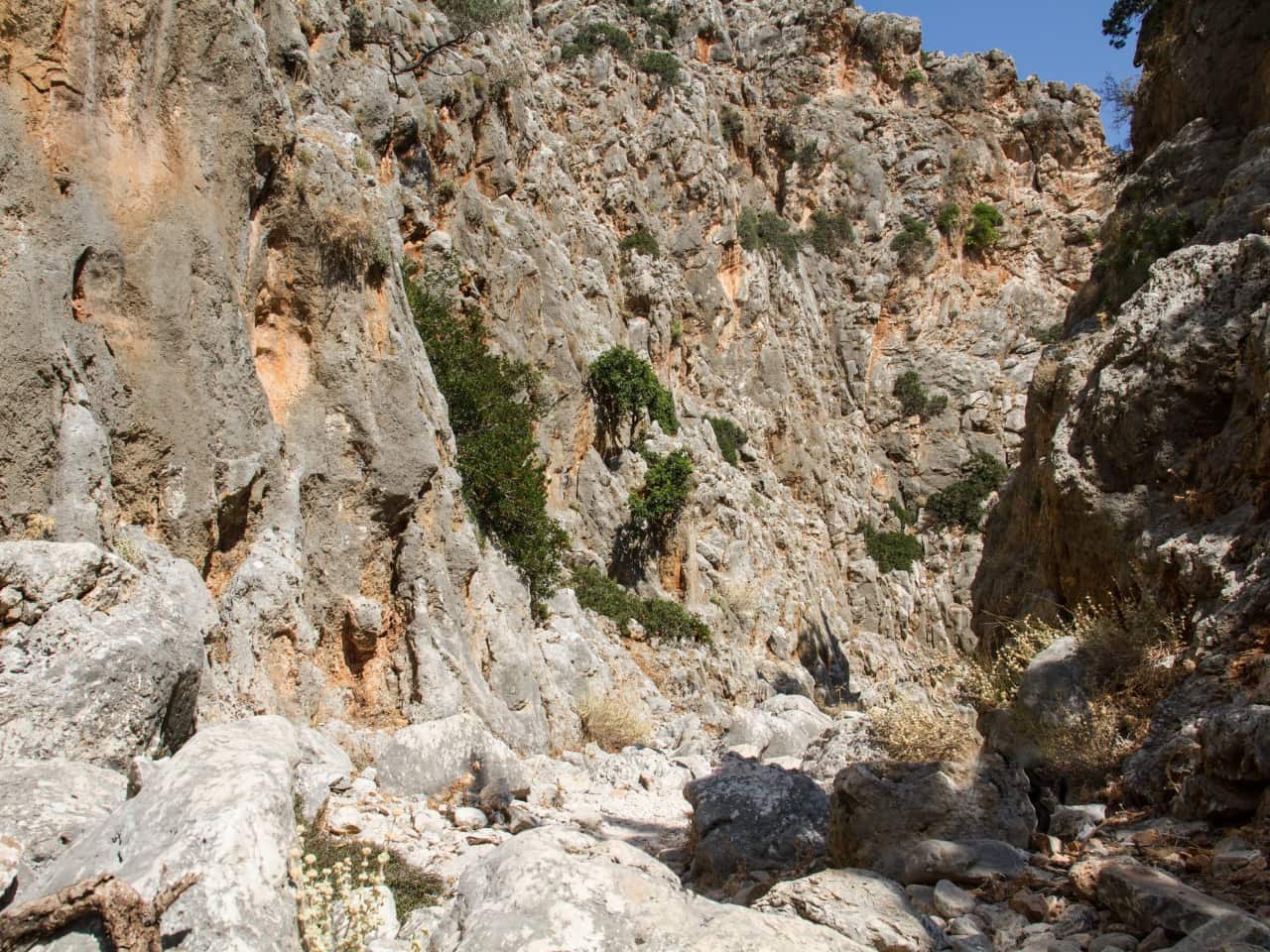 Avlaki Gorge in Chania