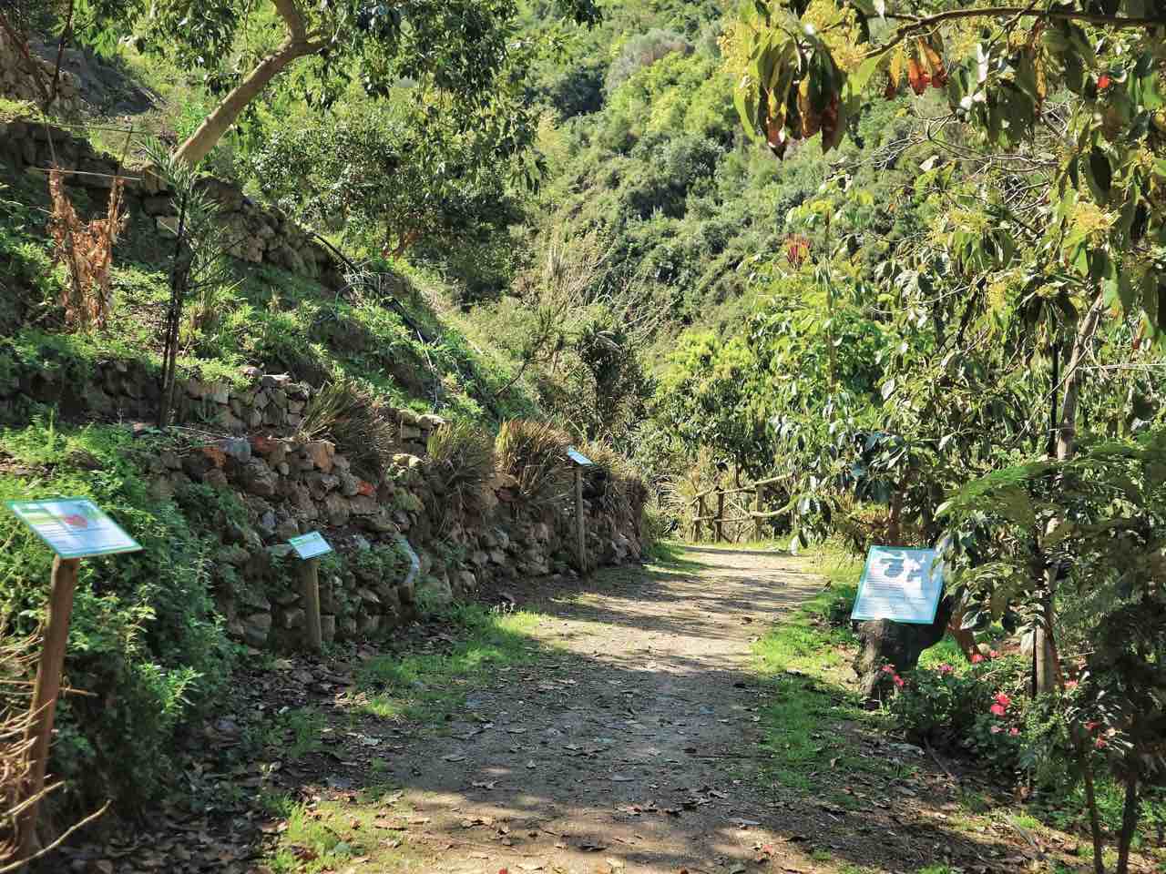 botanical park chania crete, farm animals, endemic herbs, cretan flowers, wild birds, cretan fauna flora, cretan nature