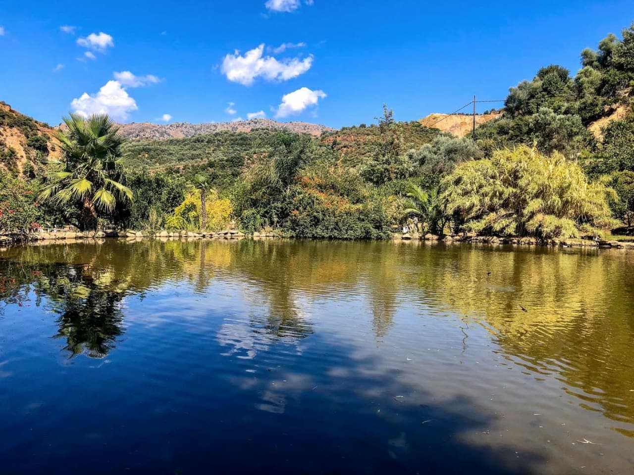 botanical park chania crete, farm animals, endemic herbs, cretan flowers, wild birds, cretan fauna flora, cretan nature