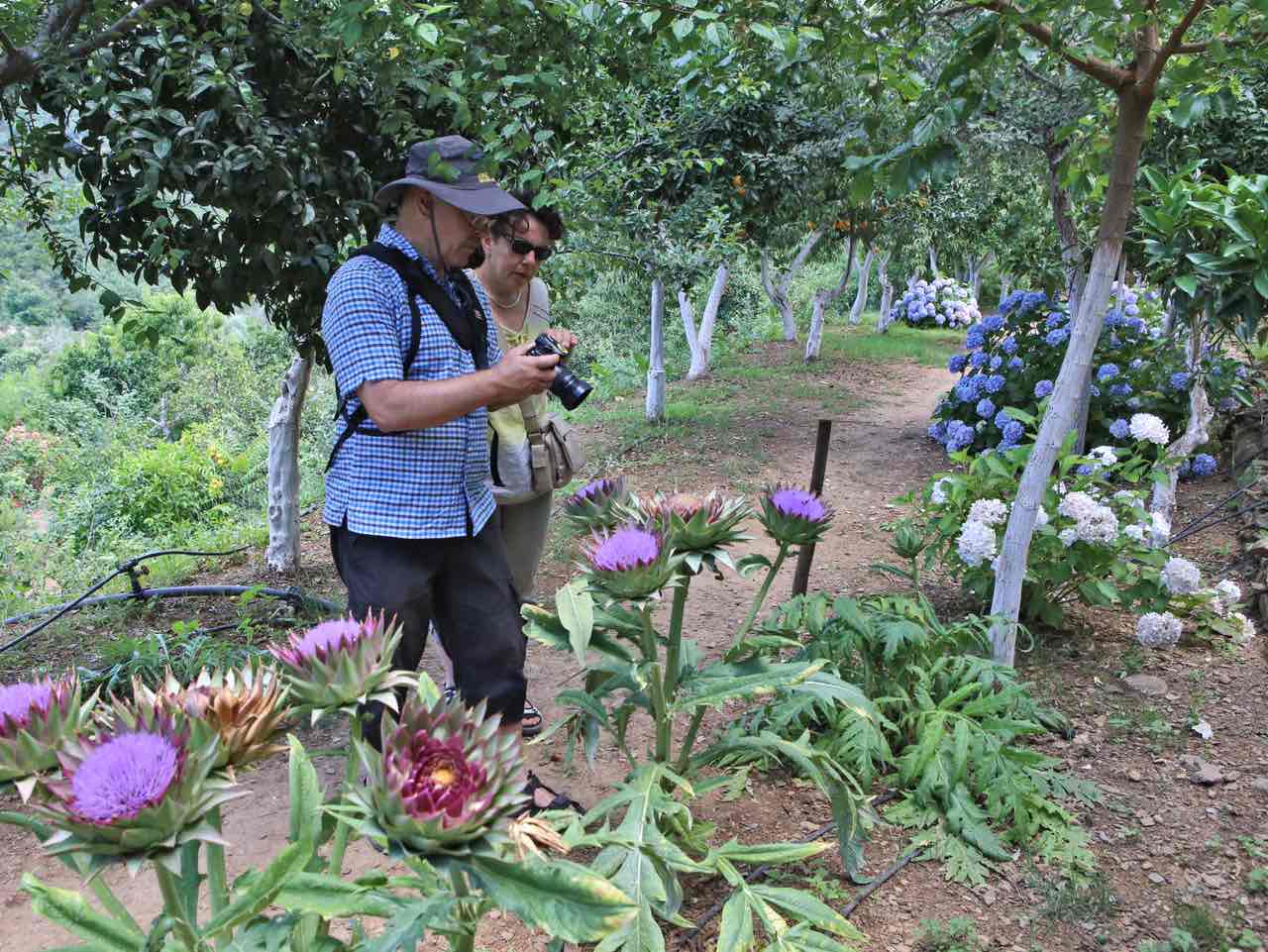 botanical park chania crete, farm animals, endemic herbs, cretan flowers, wild birds, cretan fauna flora, cretan nature