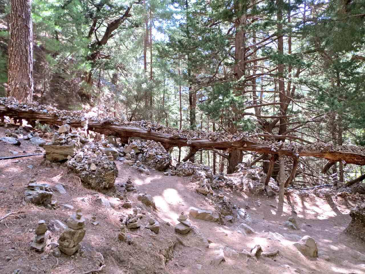 Samaria Small Group Guided Tour, Samaria Gorge Private tour, best guided tour samaria, chania starting samaria gorge tour, samaria gorge small quality tour, best tour for samaria chania, activities chania crete, activities hania crete, samaria gorge hiking trekking