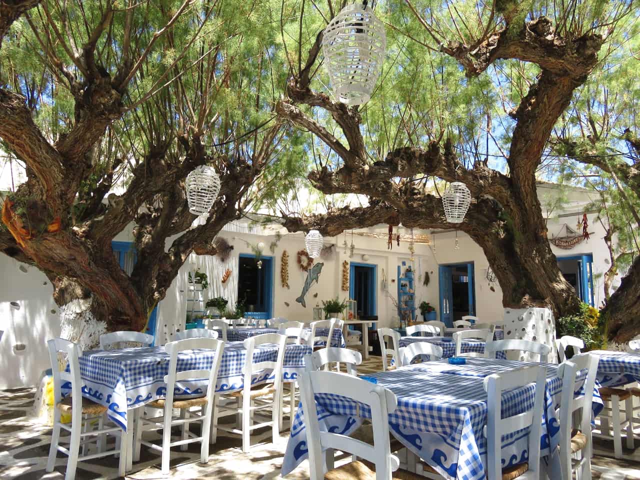 kaliotzina tavern koutsouras, kaliotzina restaurant koutsouras makrigialos, south east crete kaliotzina, where to eat lasithi, best restaurants east crete, gastronomy east crete
