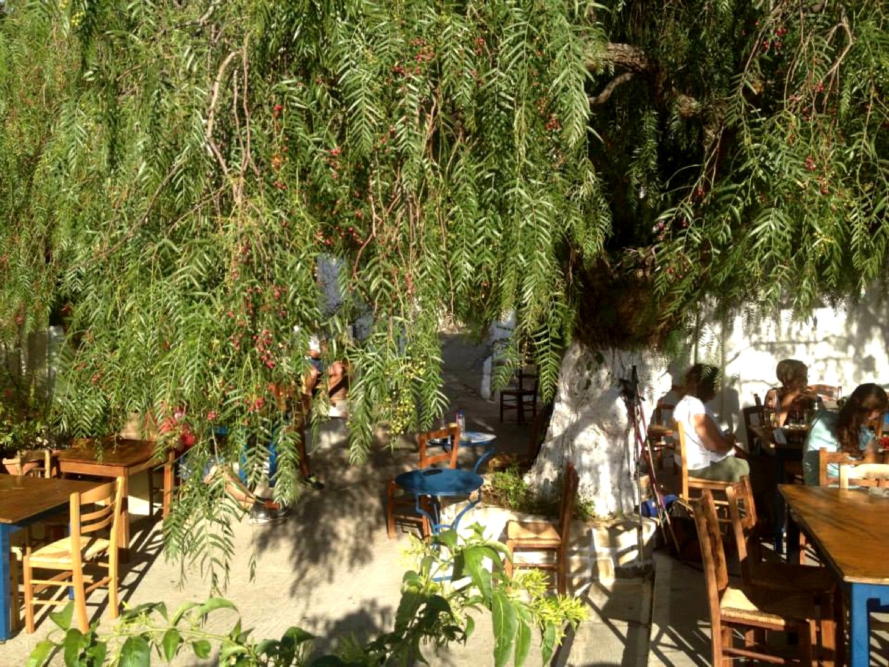 piperia tavern pefkoi village, piperia restaurant pefki village makrigialos, makriyialos eateries crete, pepper restaurant tavern crete