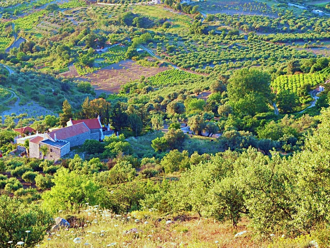 Vlahiana settlement, villages of Kerasia and Venerato, villa kerasia hotel vlahiana, villa kerasia inn venerato village