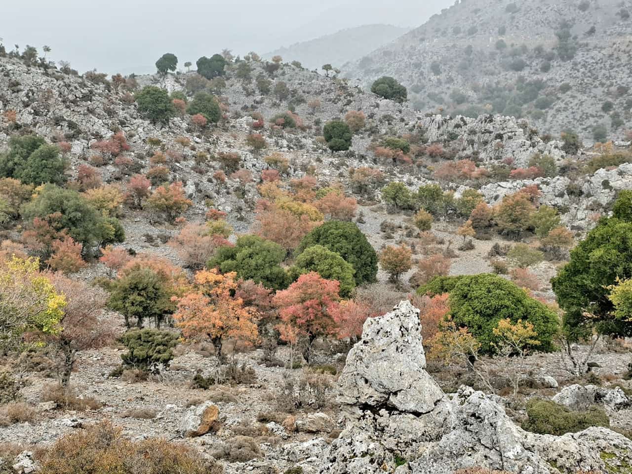 Zaros village travel guide, zaros village hotels, where to stay zaros village, activities zaros village, crete travel zaros, hiking zaros, zaros water, trout eat zaros crete, rouvas gorge zaros, bird watching zaros