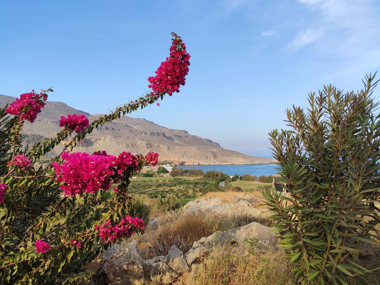 Kato Zakros hidden gem in lovely Crete