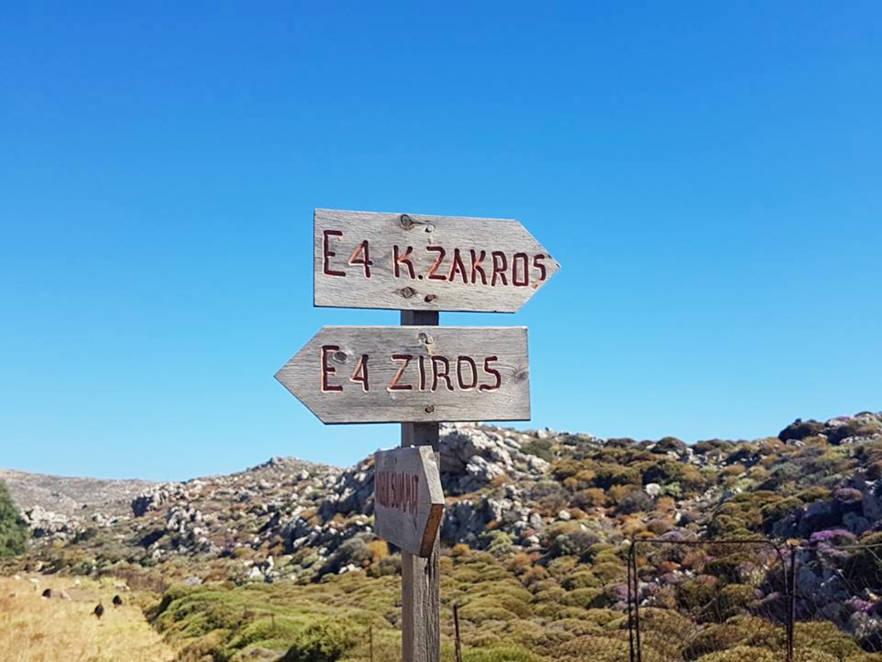 kato zakros travel guide, activities kato zakros crete, kato zakros where to stay, kato zakros hotels, things to do kato zakros, geopark sitia, dead's gorge hiking, hiking routes kato zakros, e4 european path kato zakros, east crete zakros, bird watching 