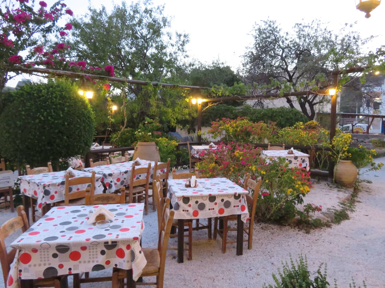 Sougia village chania travel guide, sougia village hotels, where to stay sougia village, sougia activities, things to do sougia, sougia restaurants, sougia what to see do, crete travel, the crete you are looking for