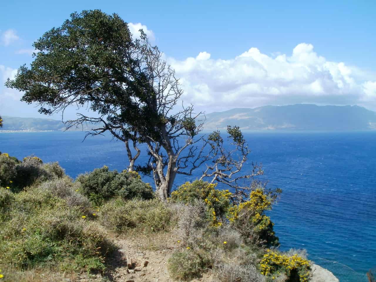 ravdoucha travel guide, ravdouha travel guide, ravdoucha activities, ravdoucha tavernas restaurants, ravdouha things to do, ravdoucha hotels villas, beaches at ravdoucha, churches ravdoucha village 