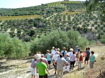 CreteTravel,Central Crete,Koronekes Olive Mill