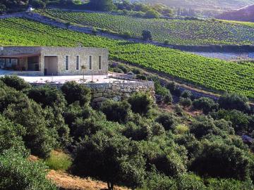 CreteTravel,Central Crete,Rhous-Tamiolakis Winery