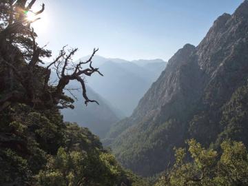 CreteTravel,West Crete,Semi-Private Tour to the White Mountains & Samaria Gorge from Above