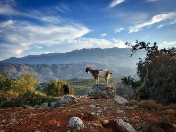 CreteTravel,West Crete,The Traditional Villages Experience In Chania Crete