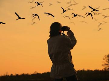 CreteTravel,West Crete,Bird Watching in Crete