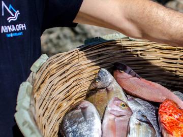 fresh fishes, lefka ori taverna restaurant, sfakia village, chora sfakion